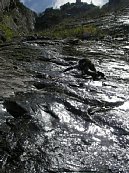 samakore 003.jpg